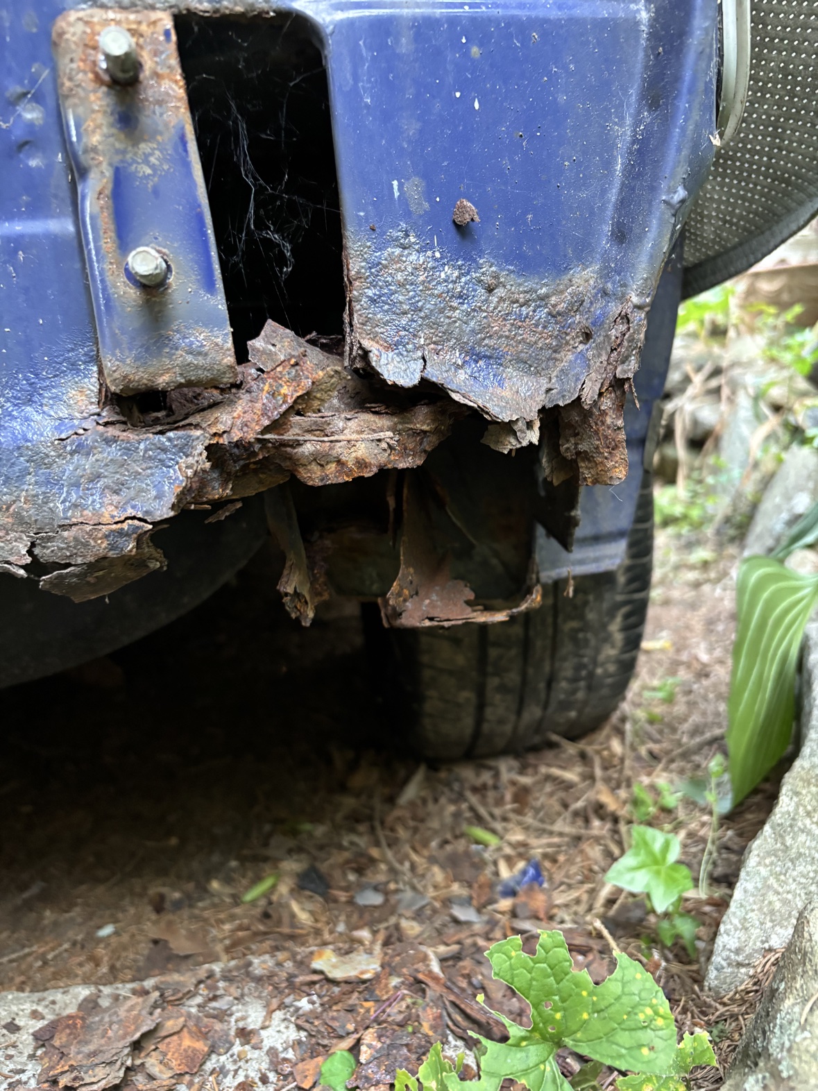 Rust damage along the Harlequin rocker panel