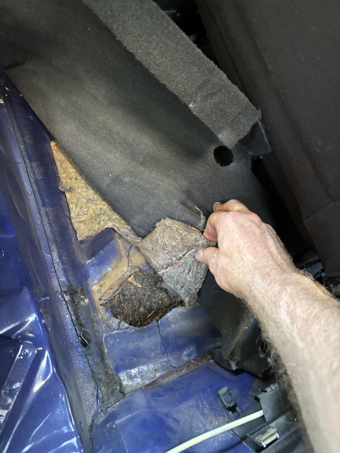 Carpet pulled back to reveal a rust hole in the Harlequin floor pan